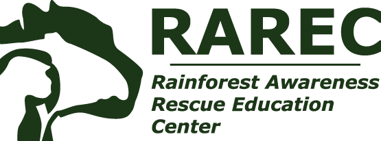 RAREC - Rainforest Awareness Rescue Centre | Iquitos, Peru